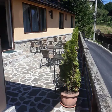 Marin Guest house